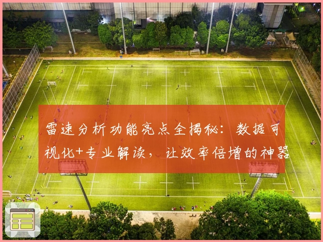 雷速分析功能亮点全揭秘：数据可视化+专业解读，让效率倍增的神器