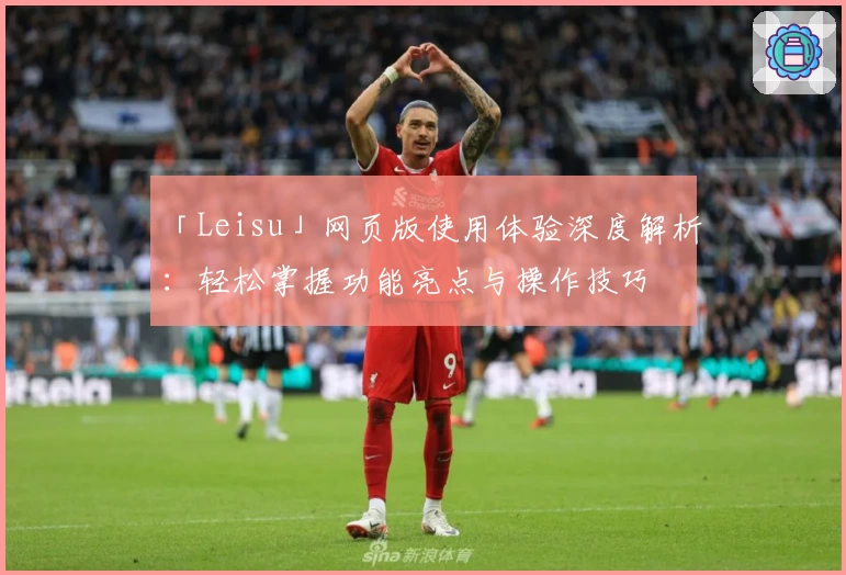 「Leisu」网页版使用体验深度解析：轻松掌握功能亮点与操作技巧