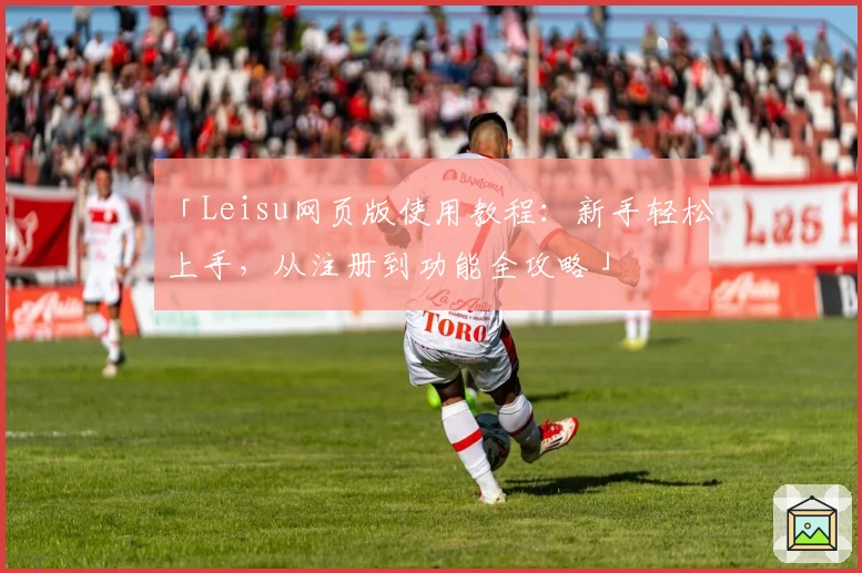 「Leisu网页版使用教程：新手轻松上手，从注册到功能全攻略」